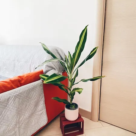 Apartment In With Private Parking