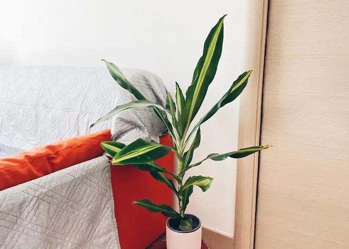 Apartamento In With Private Parking