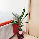Apartment In With Private Parking